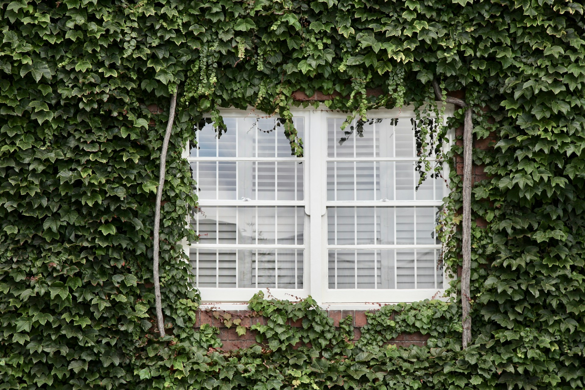 Transform Your Home with Custom Blinds